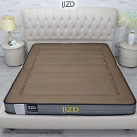 Đệm lò xo túi độc lập cao cấp, 10 lớp, bông tổng hợp - LSPM21 Đệm lò xo túi độc lập cao cấp, 10 lớp, bông tổng hợp - LSPM21